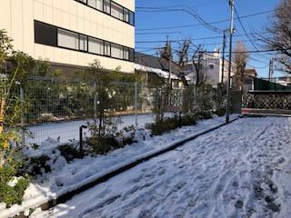 雪景色２.jpg